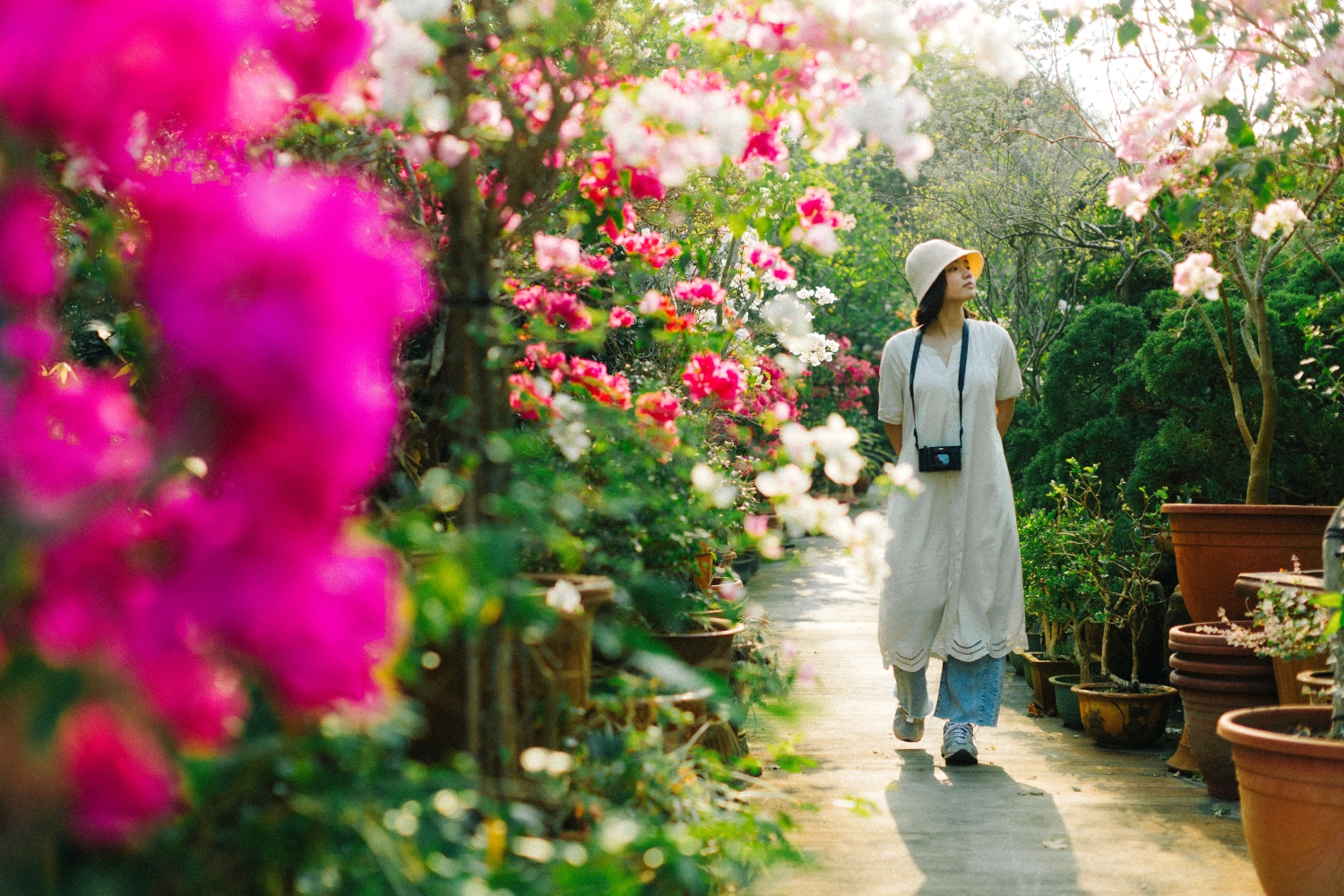 田尾公路花園