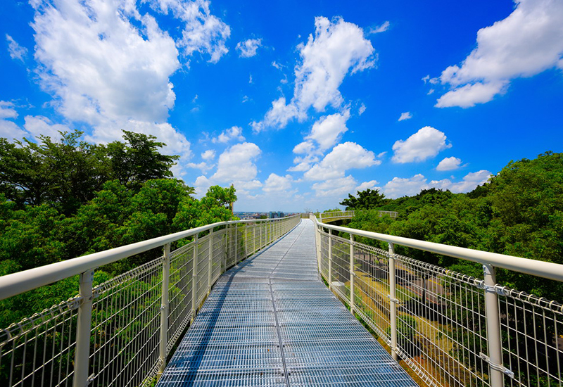 八卦山天空步道