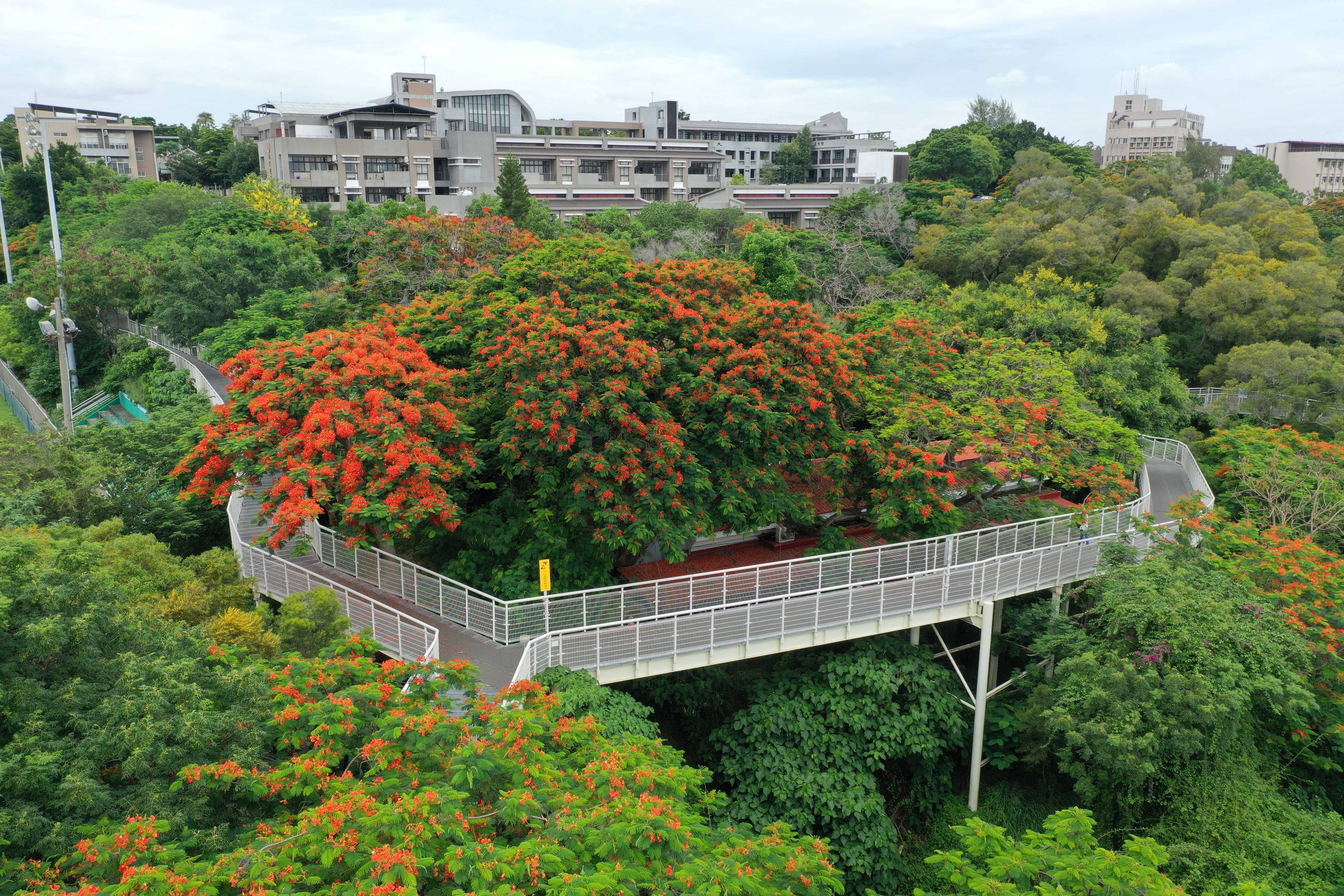 八卦山天空步道