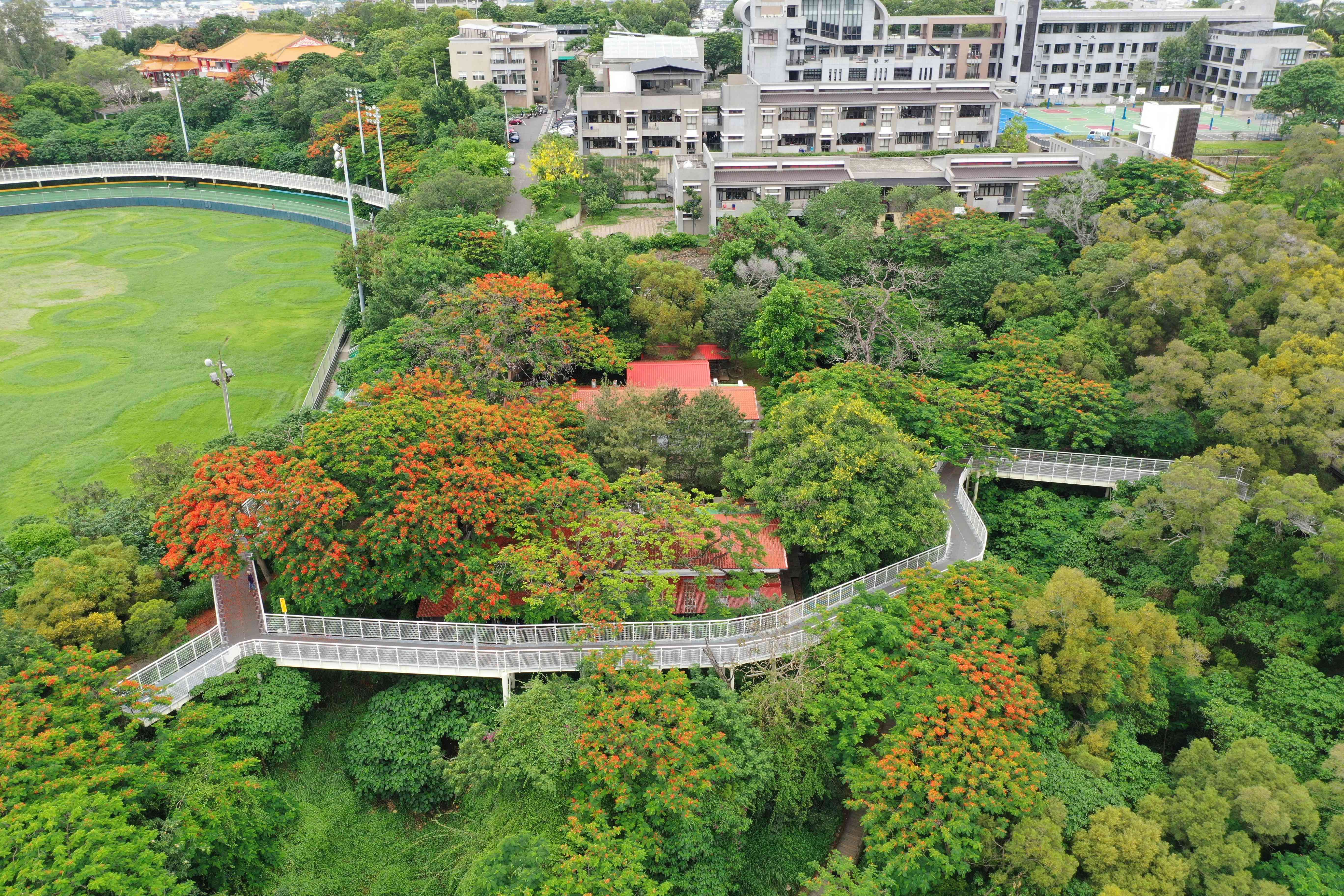 八卦山天空步道