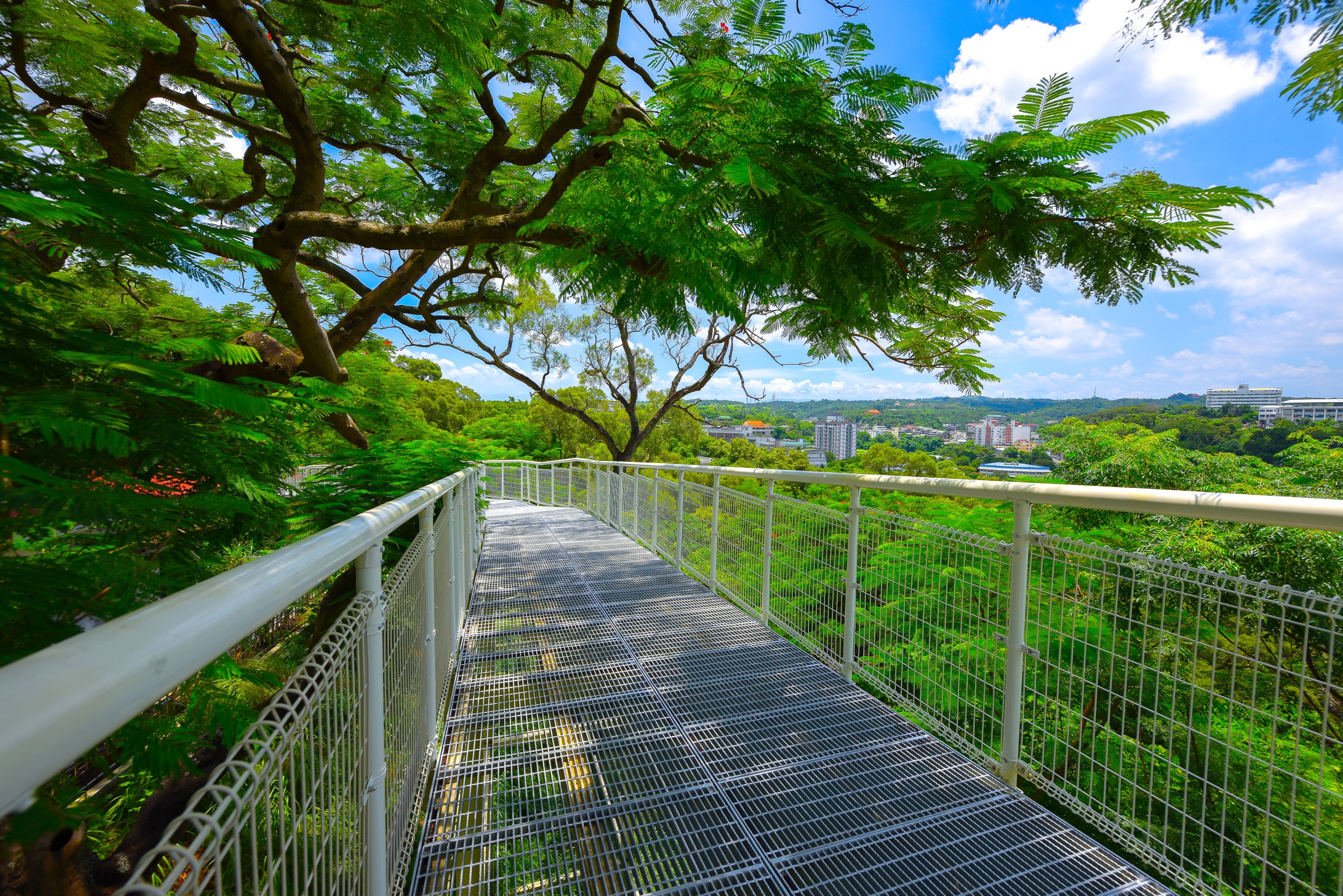 八卦山天空步道