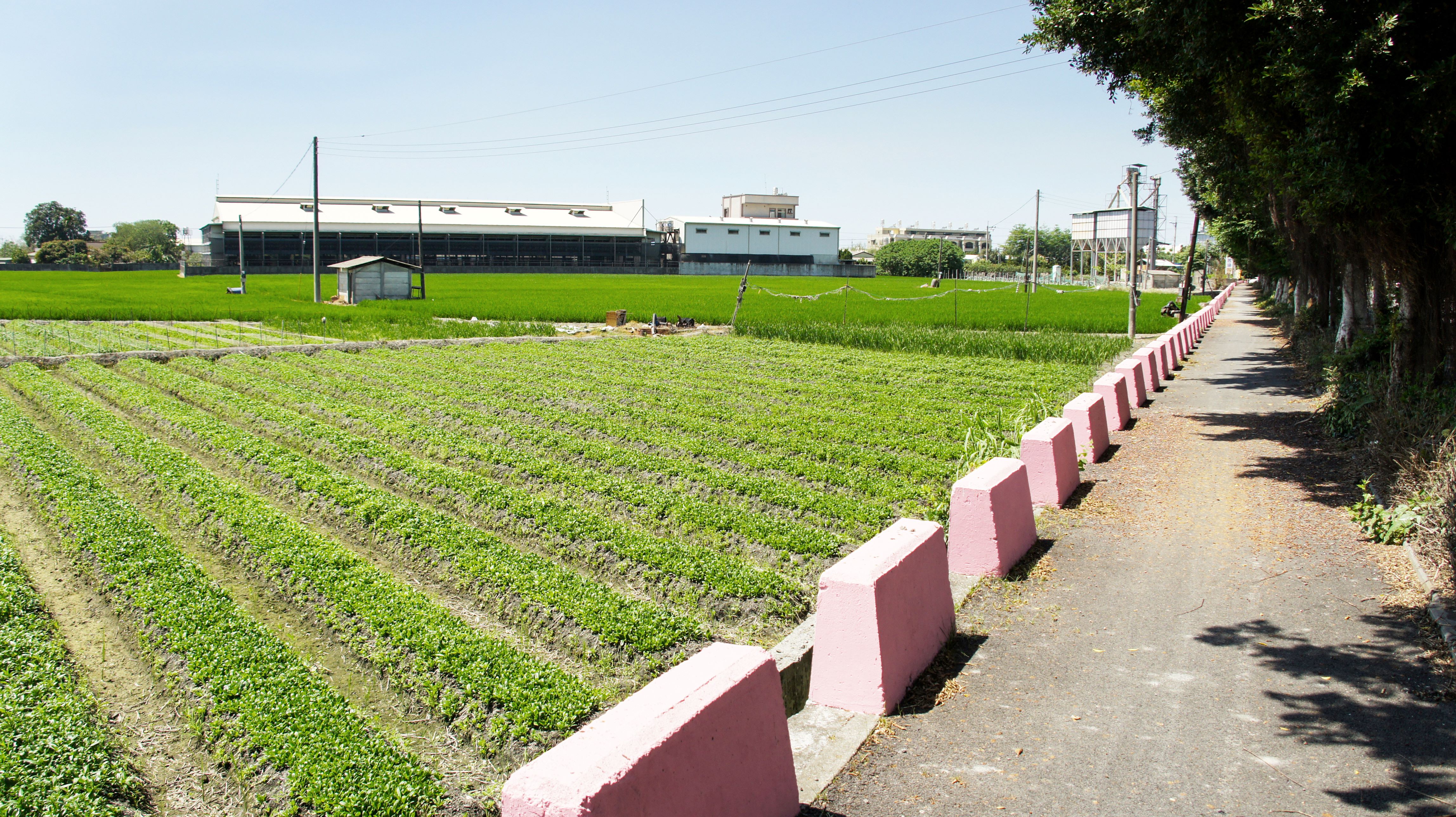北斗河濱自転車道