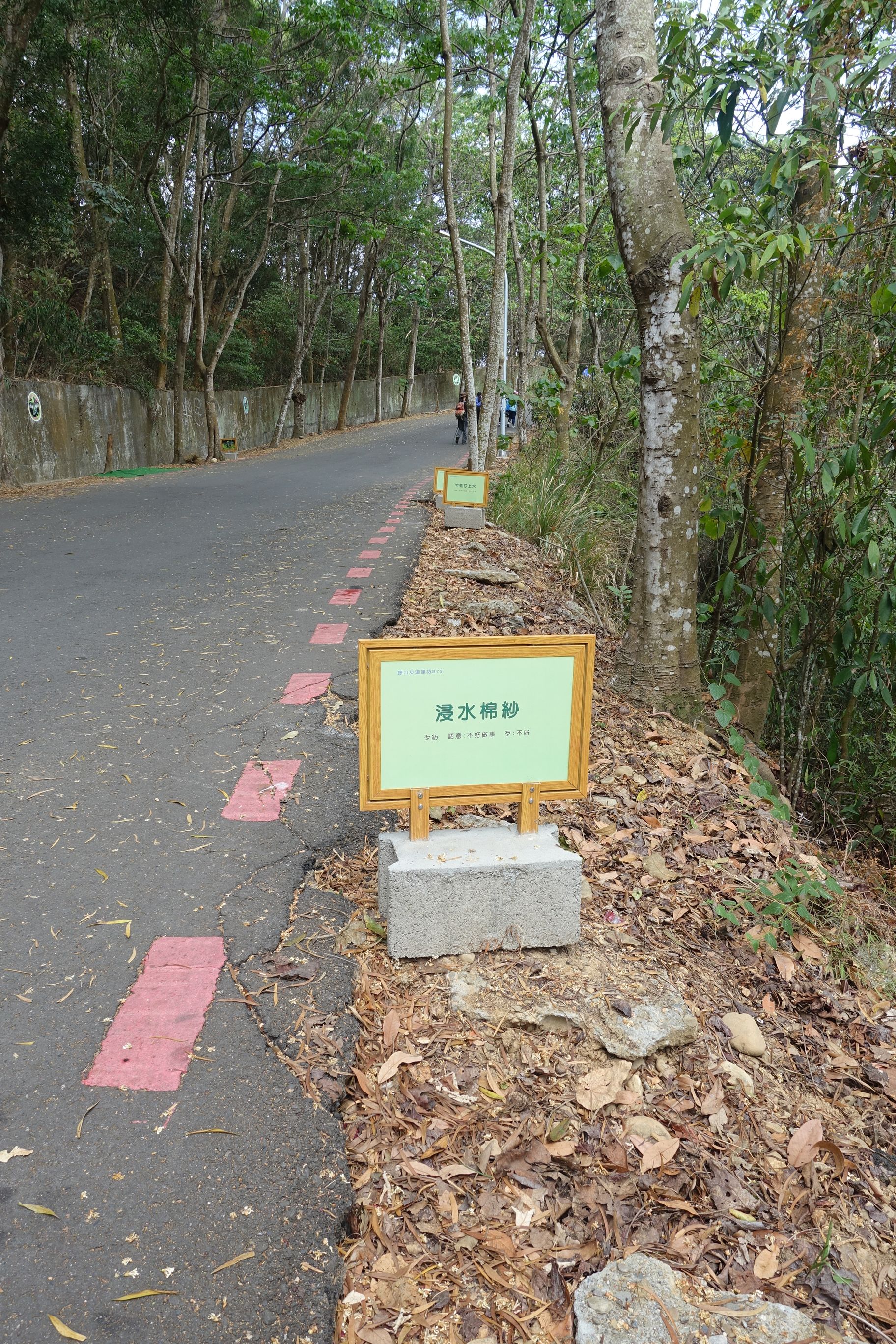 藤山步道 