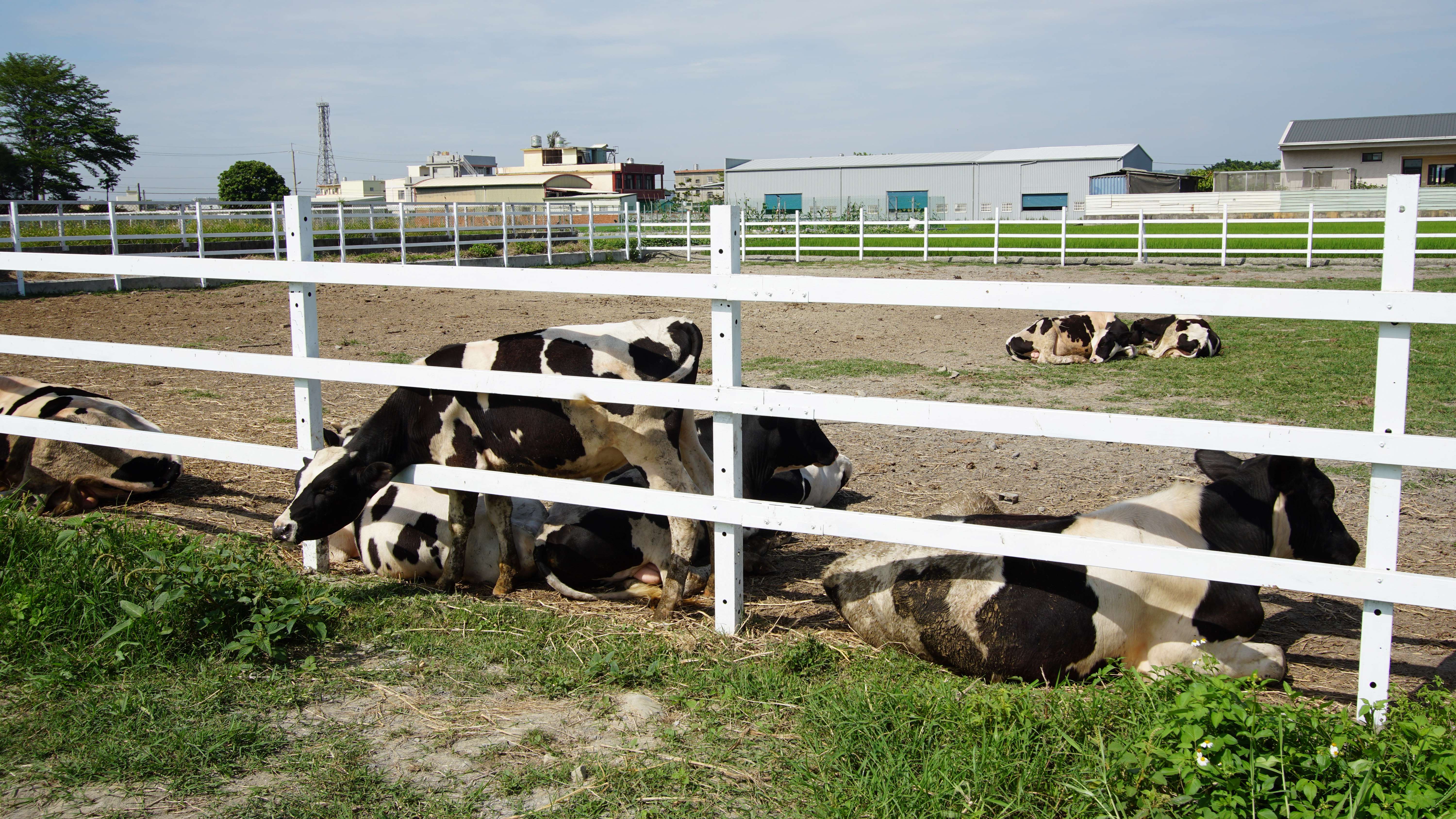 花壇駅：ローカル列車と伝統産業の旅