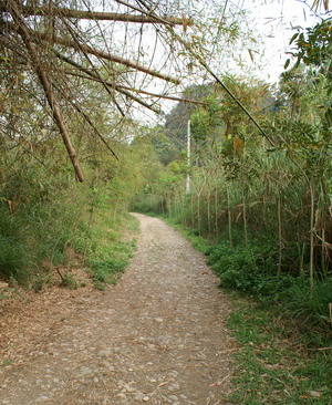 美しい 十八弯古道(原始古代探求の旅)