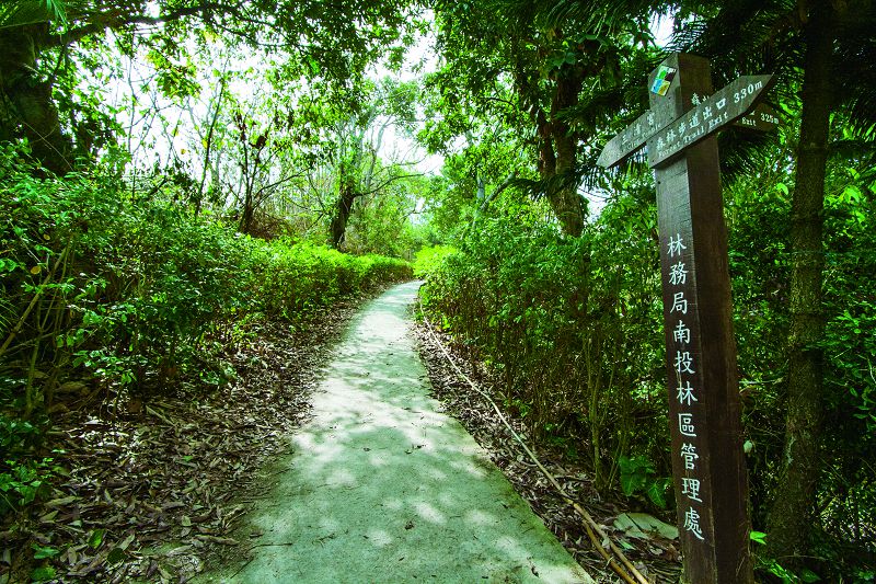 絵画的な綺麗 桃源裏森林歩道群(鷹観賞憩いの旅)-1