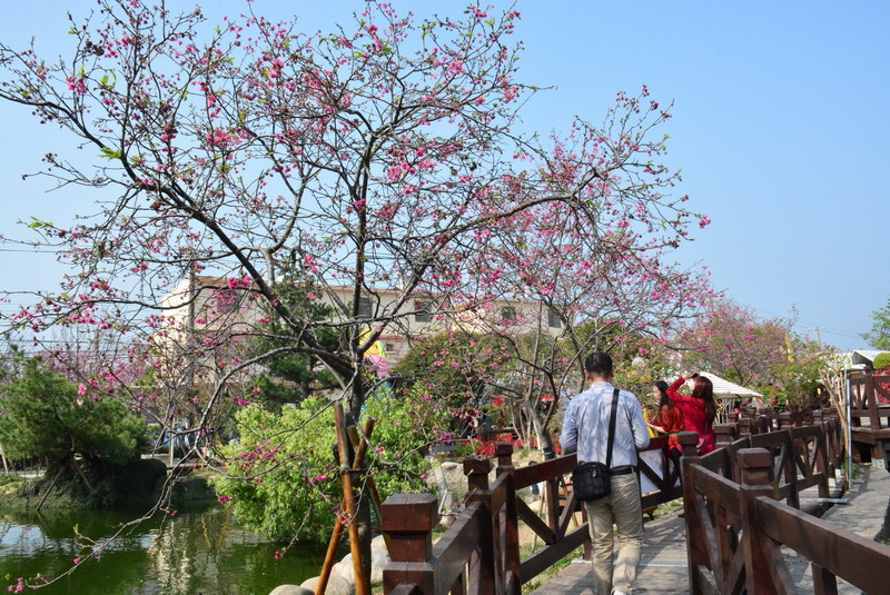 芬园花卉生产休憩园区