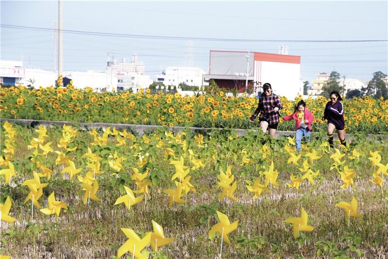 108年向阳花坛~花海抽抽乐