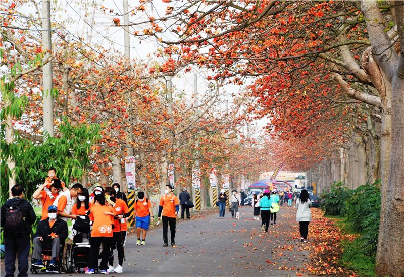 走出户外 埤头木棉花季登场