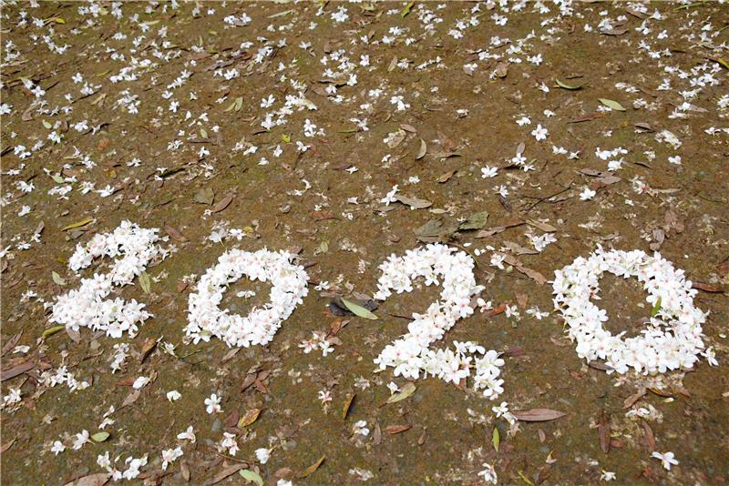 「挑水古道」赏桐花 走出户外登山健身