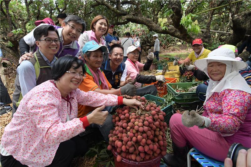 王县长到芬园关心彰化县荔枝产销情形 食在地、享当季 欢迎来彰化县游玩体验采果趣