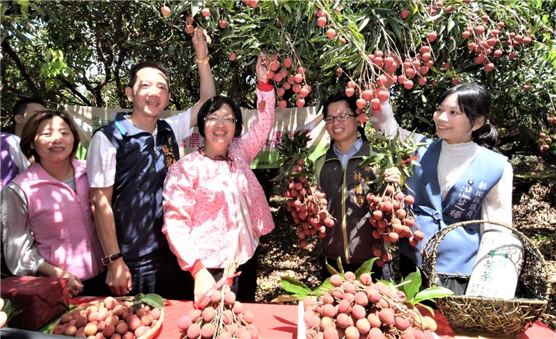 王县长到芬园关心彰化县荔枝产销情形 食在地、享当季 欢迎来彰化县游玩体验采果趣