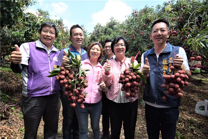 王县长到芬园关心彰化县荔枝产销情形 食在地、享当季 欢迎来彰化县游玩体验采果趣