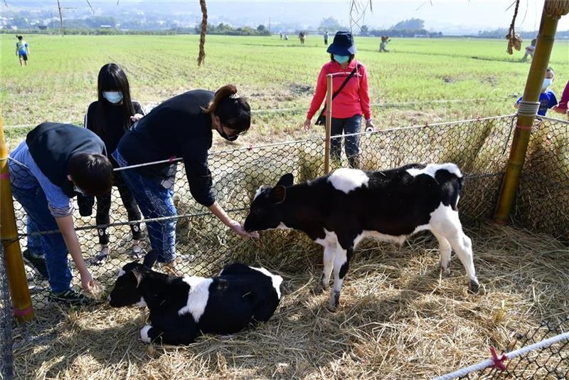 　　彰化县長王惠美於11日上午前往參加彰化畜產嘉年華會系列活動第四場活動，在田中鎮望高瞭辦理「彰化乳牛節暨田中鎮農會犇向幸福百年農耀推廣活動」，田中農會理事長陳明圳、常務監事葉文東、總幹事張瑞欣等與會，王縣長表示，今年欣逢田中鎮農會百周年，結合彰化乳牛節活動，介紹民眾瞭解彰化乳牛產業發展成果，現場以牛隻造型設計的稻草牧草裝置藝術，呈現彰化在地酪農業特有產業文化、還有乳牛知識教育解說、親子趣味滾牧草