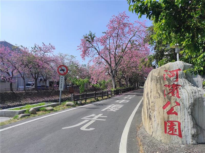 心花朵朵开～秋游彰化赏花趣