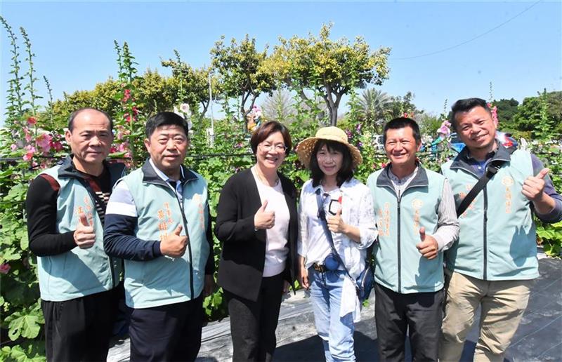 2025员林蜀葵花季 春暖花开 百花盛开 欢迎来赏花