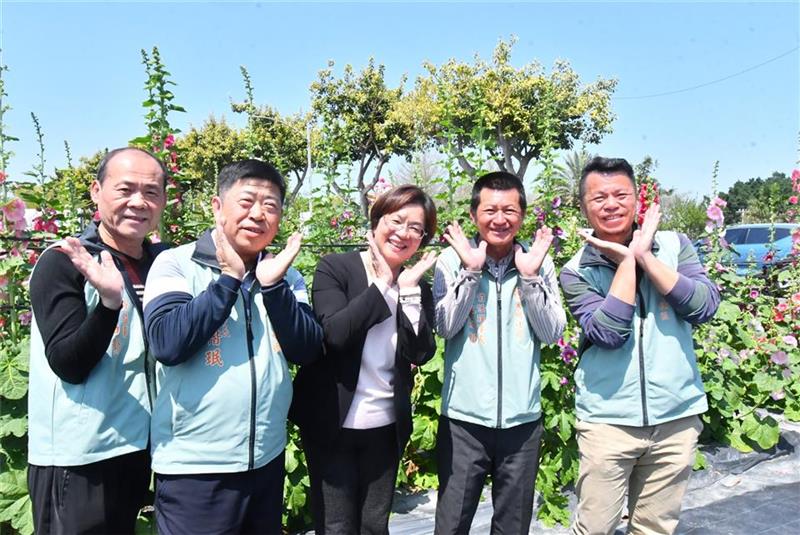 2025员林蜀葵花季 春暖花开 百花盛开 欢迎来赏花