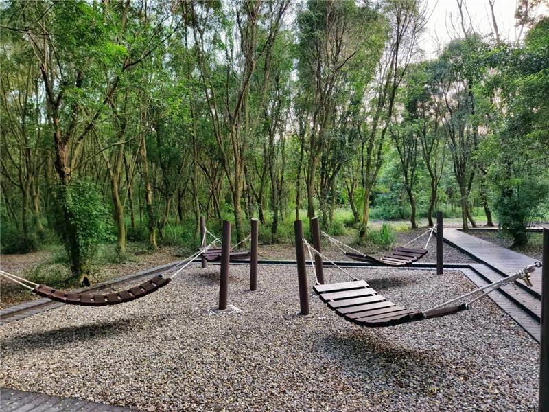 溪州公园森林木栈道区改善工程启用 整修木栈道1,476平方公尺及多项设施