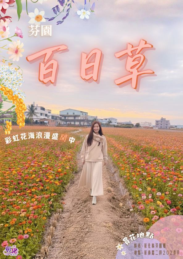 🌸【赏花情报】 花的故乡・花现幸福・彰化芬园 8.5 公顷「#百日草花田」彩虹花海浪漫盛开中！