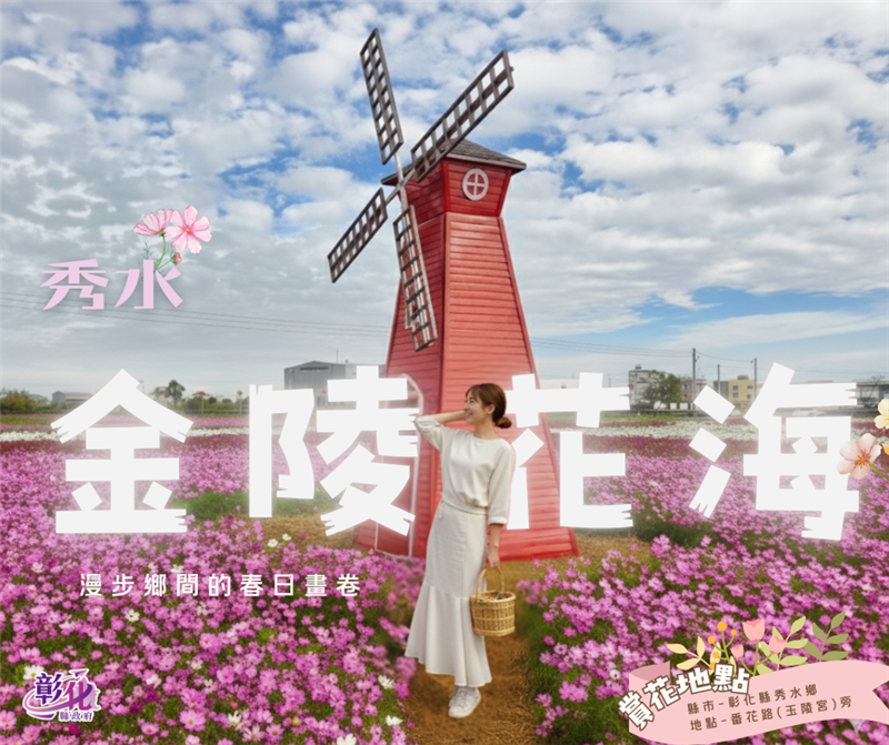 🌸 乡间的春日画卷｜彰化秀水・金陵村花海 🌸现在，正是最美的时刻