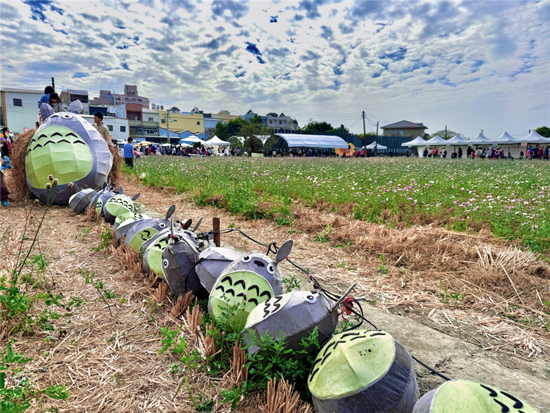 🌸 彰化市区｜转身与冬日花海相遇🌸