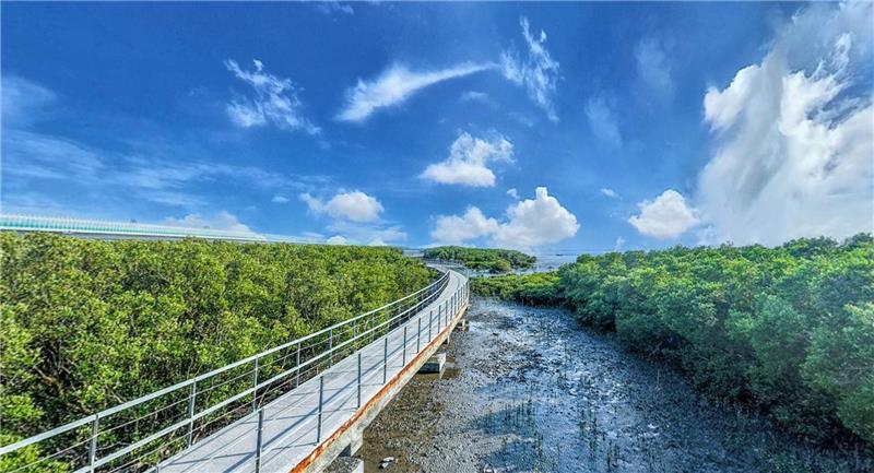 彰化沉浸式旅游再升级！城市纹理、滨海聚落一次收录