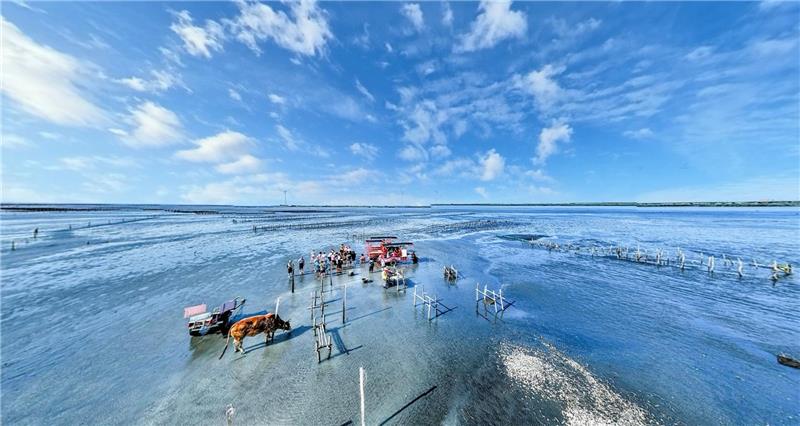 彰化沉浸式旅游再升级！城市纹理、滨海聚落一次收录