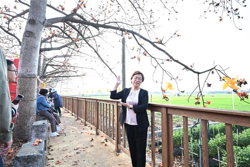 春日限定花海爆发！彰化木棉花季绝美绽放