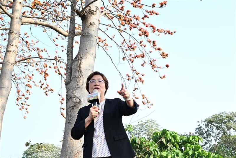 春日限定花海爆发！彰化木棉花季绝美绽放