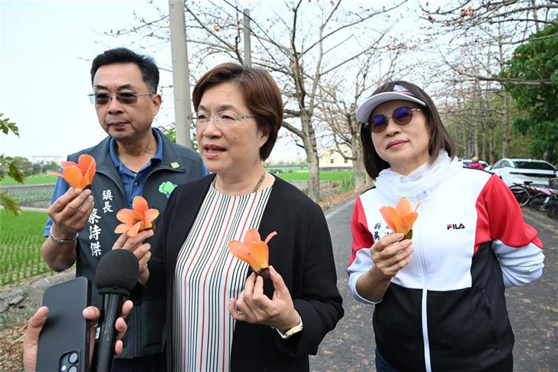 2026二林木棉花亲子乐游季　春日里火热绽放