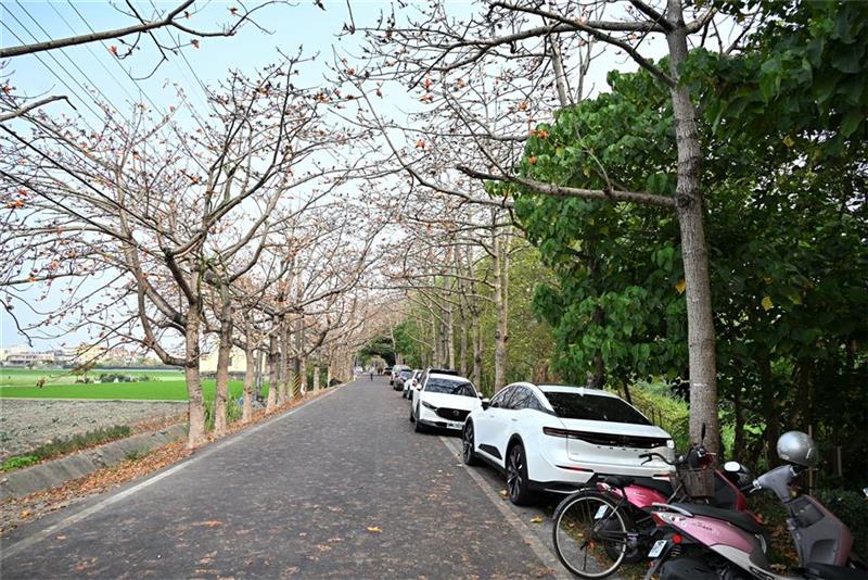 2026二林木棉花亲子乐游季　春日里火热绽放