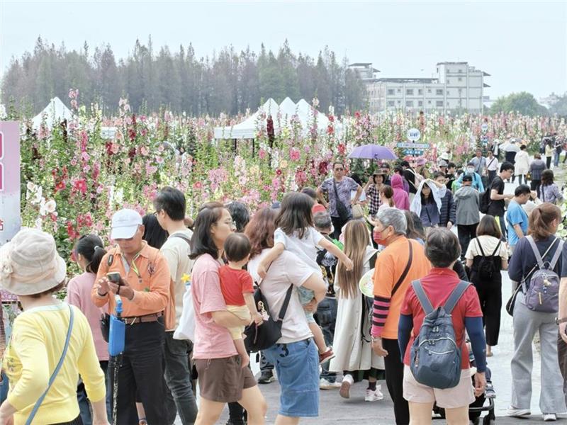 2026员林蜀葵花季盛大开幕 万株花卉缤纷绽放