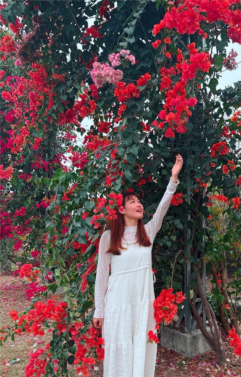 🌸春天就是要被花海包围啊～👉 田中梅州街九重葛花墙