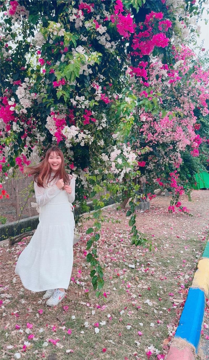 🌸春天就是要被花海包围啊～👉 田中梅州街九重葛花墙