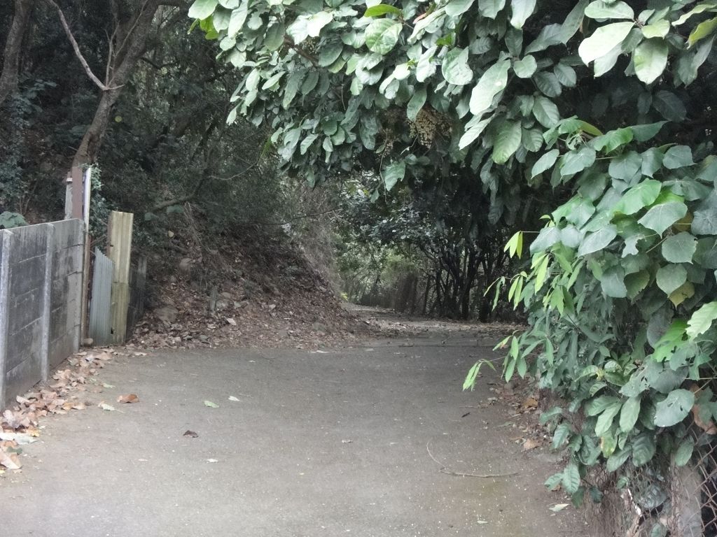 长青登山步道路径