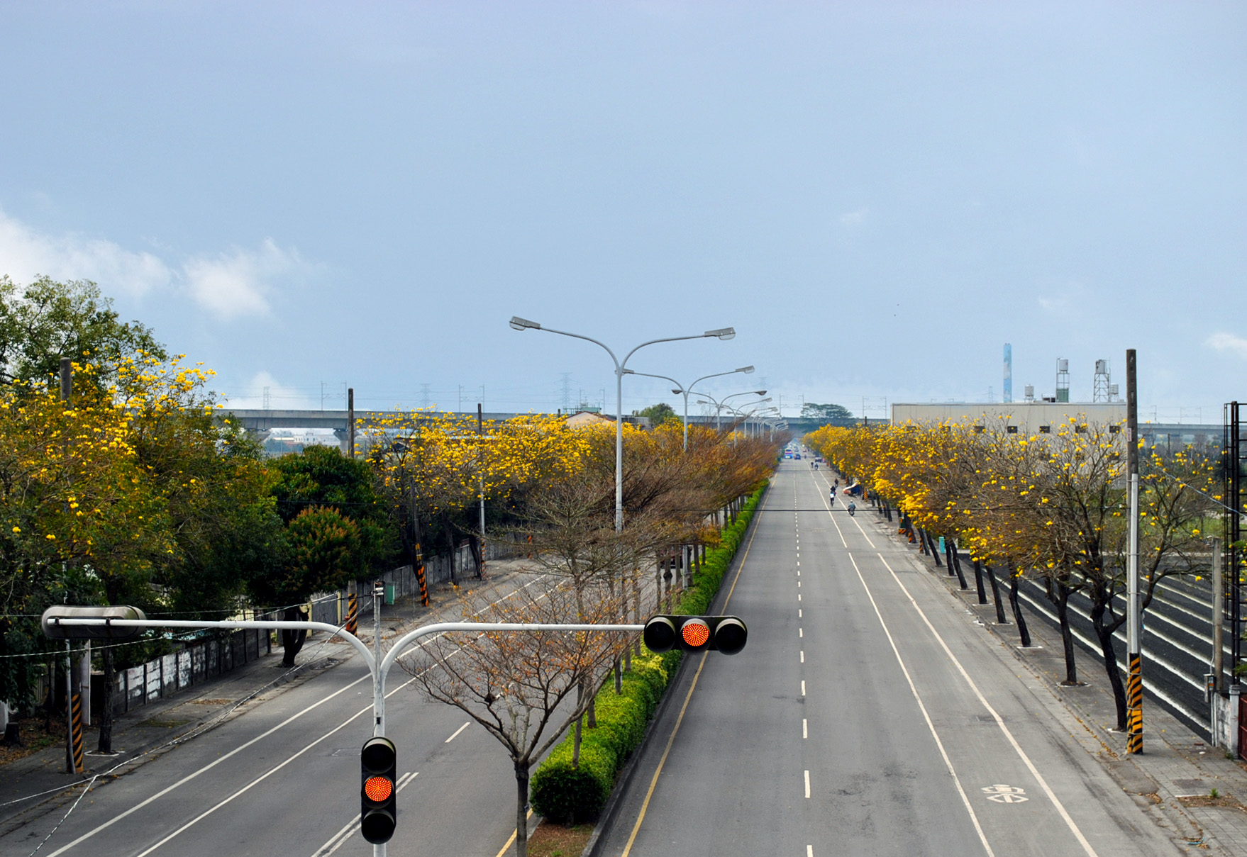 彰化溪州金色公路远景拍摄