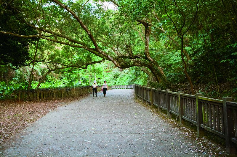 田中森林公园．赤水崎步道(登山怀旧之旅)