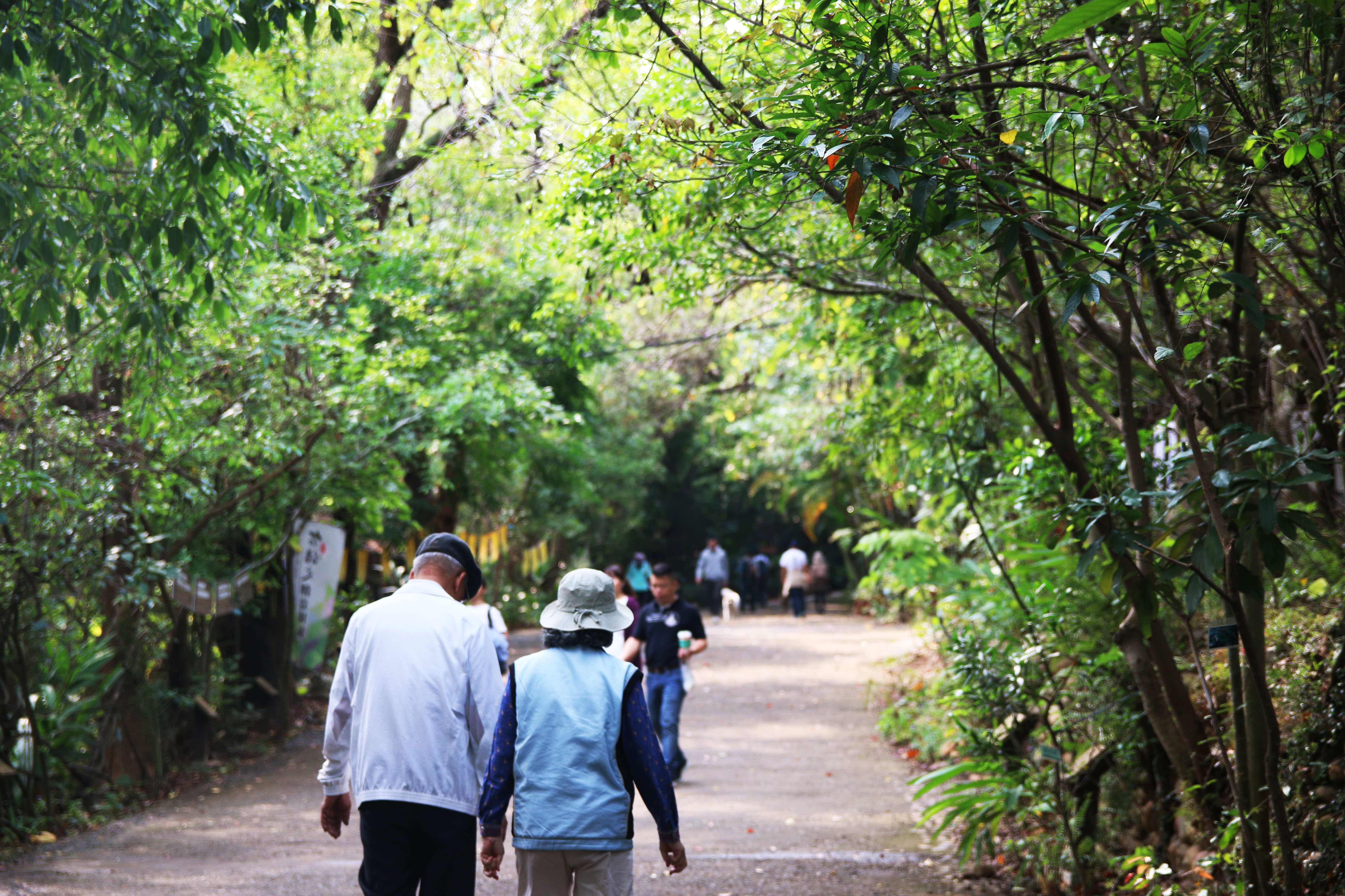 园区与生态共存，时有民众散步、运动。