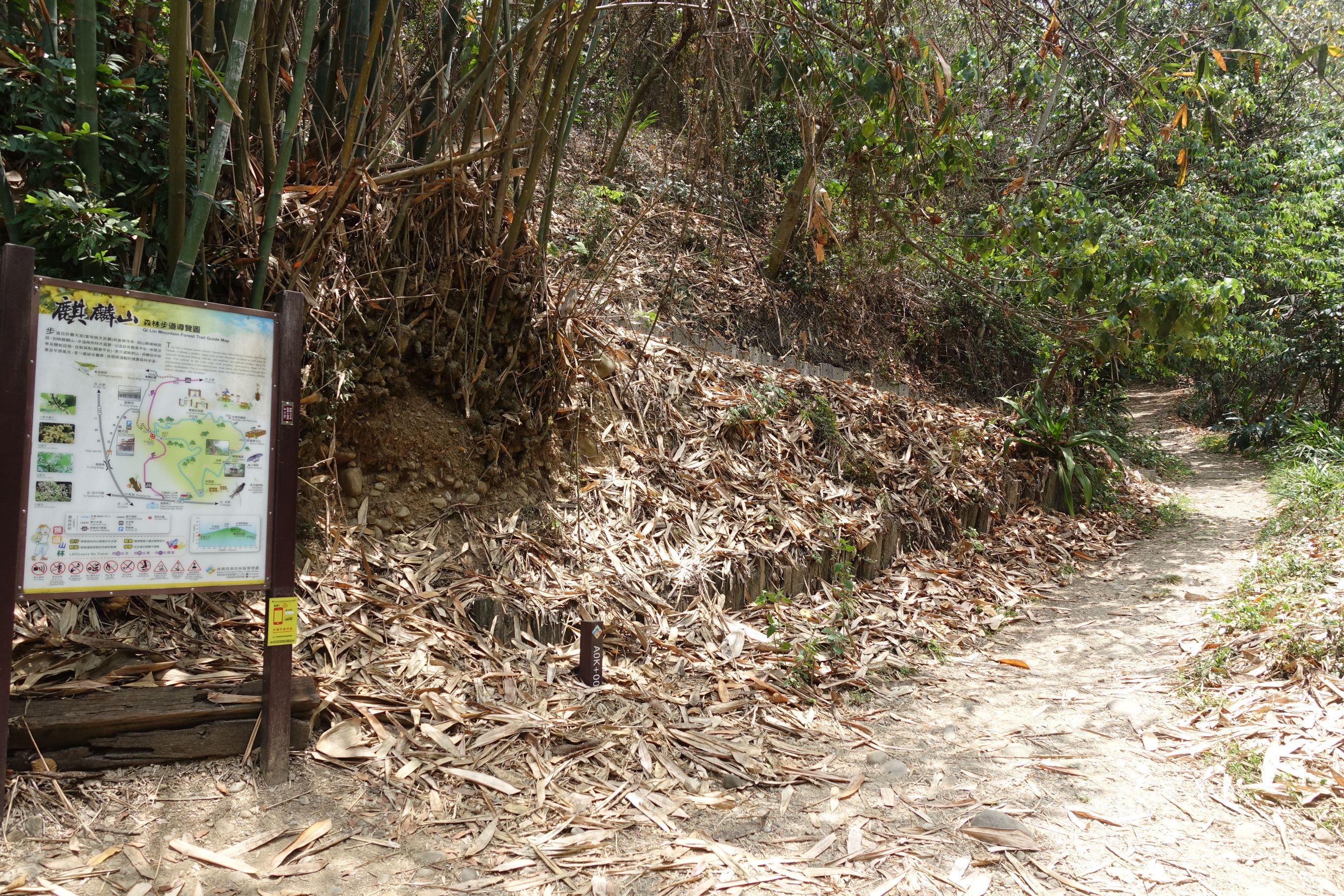 长青自行车道可串联麒麟山森林步道等数条八卦山步道