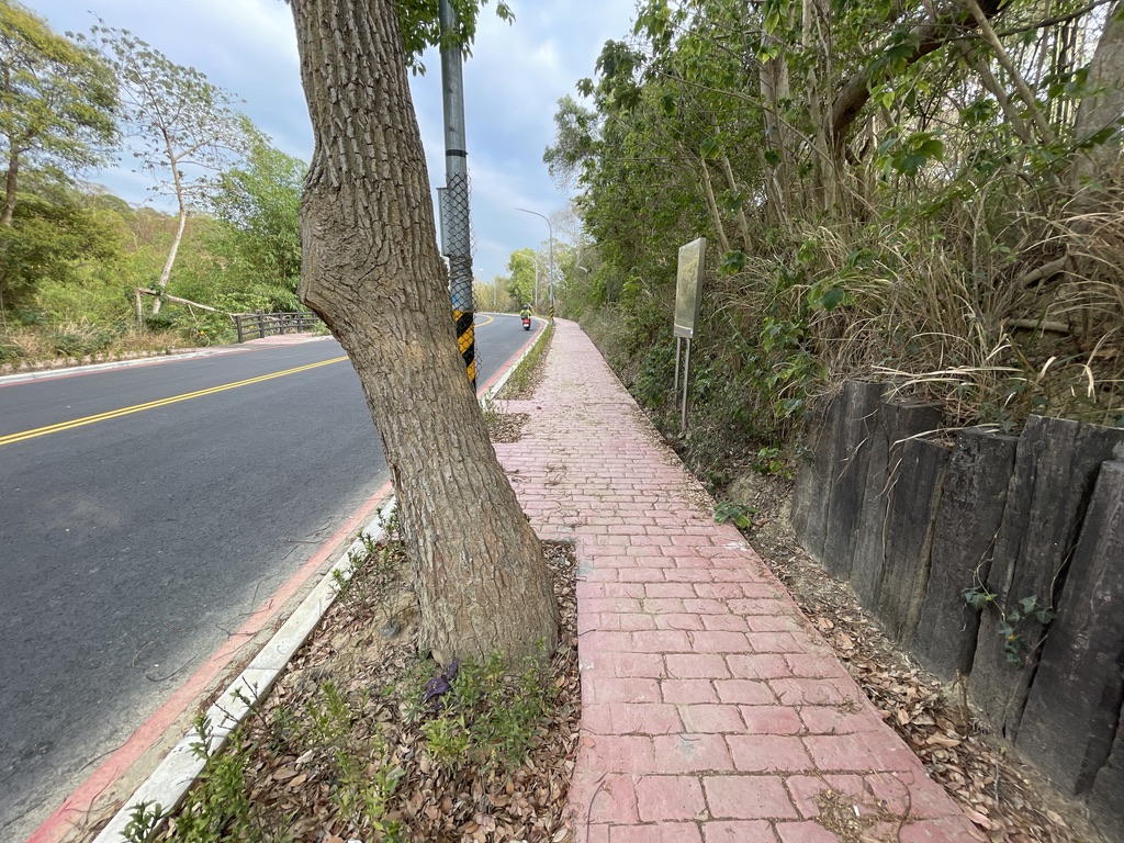 虎岗路步道位于虎岗路道路两旁，步道两旁多种有植栽