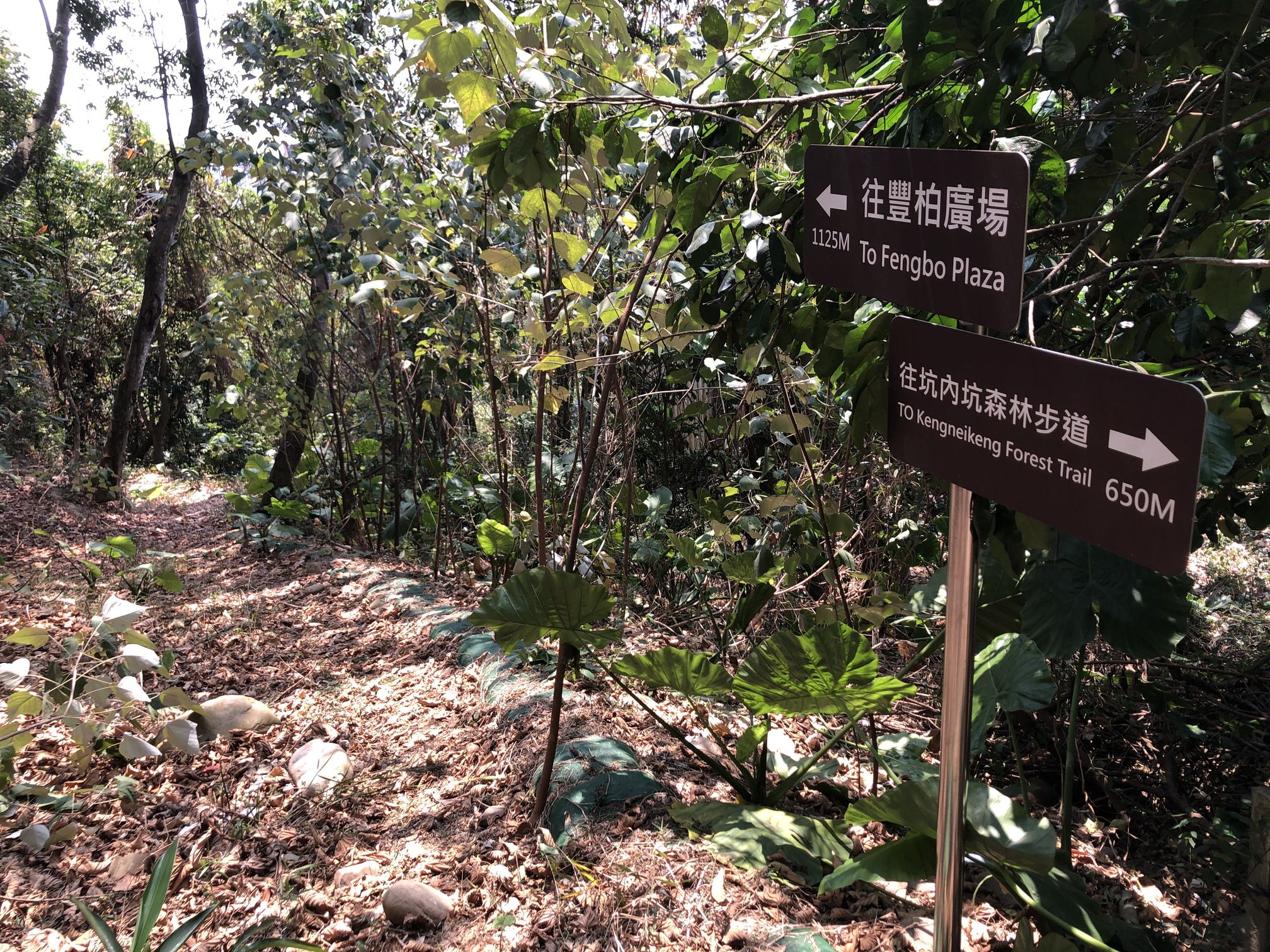 2步道沿线设有指标牌志引导方向