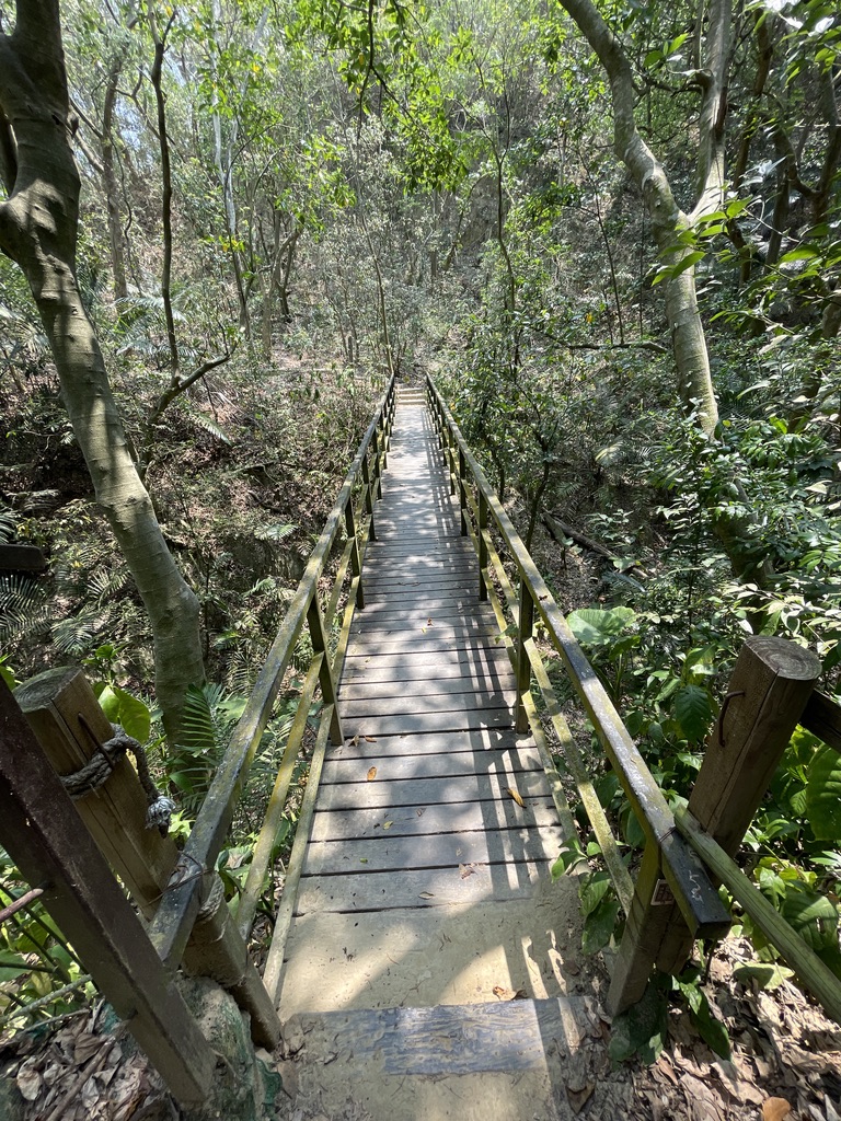 连结河沟两岸的木栈桥