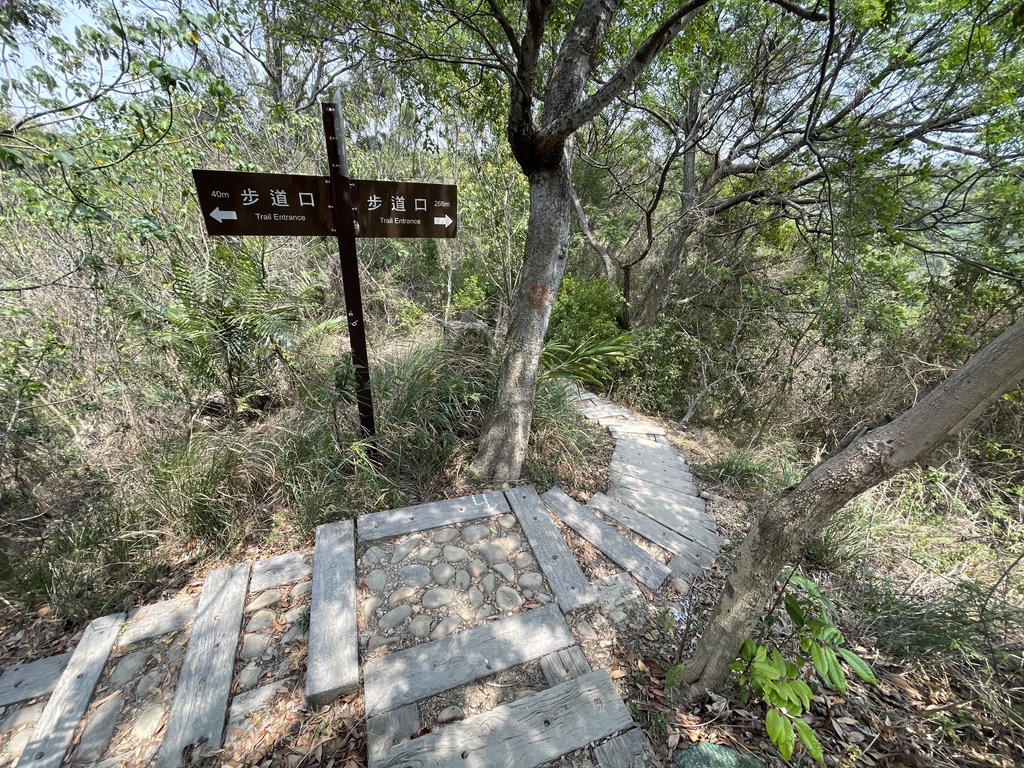 龙凤谷森林步道多为阶梯