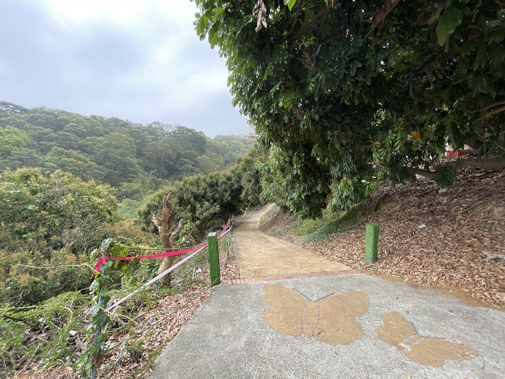 登山步道以台湾原生乔木为主，除油桐外，还有香楠树群、相思树林、樟树群