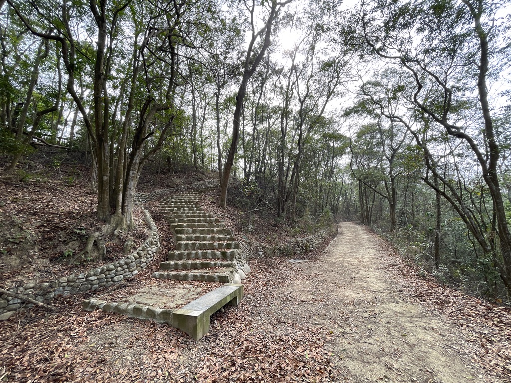 步道平缓好走，路程适中，非常适合大众登山健行