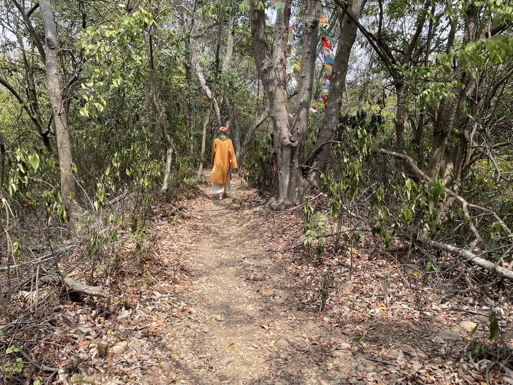 碧山古道为泥石小径，步道周边种植有龙眼、荔枝、柚子、波罗蜜、柠檬和自然树林