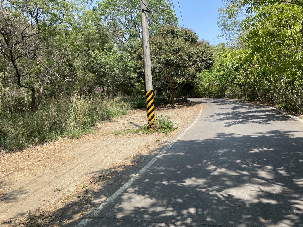 沿产业道路往上行走可至制高点，沿途种植有台湾栾树、龙眼、桂花等植物，