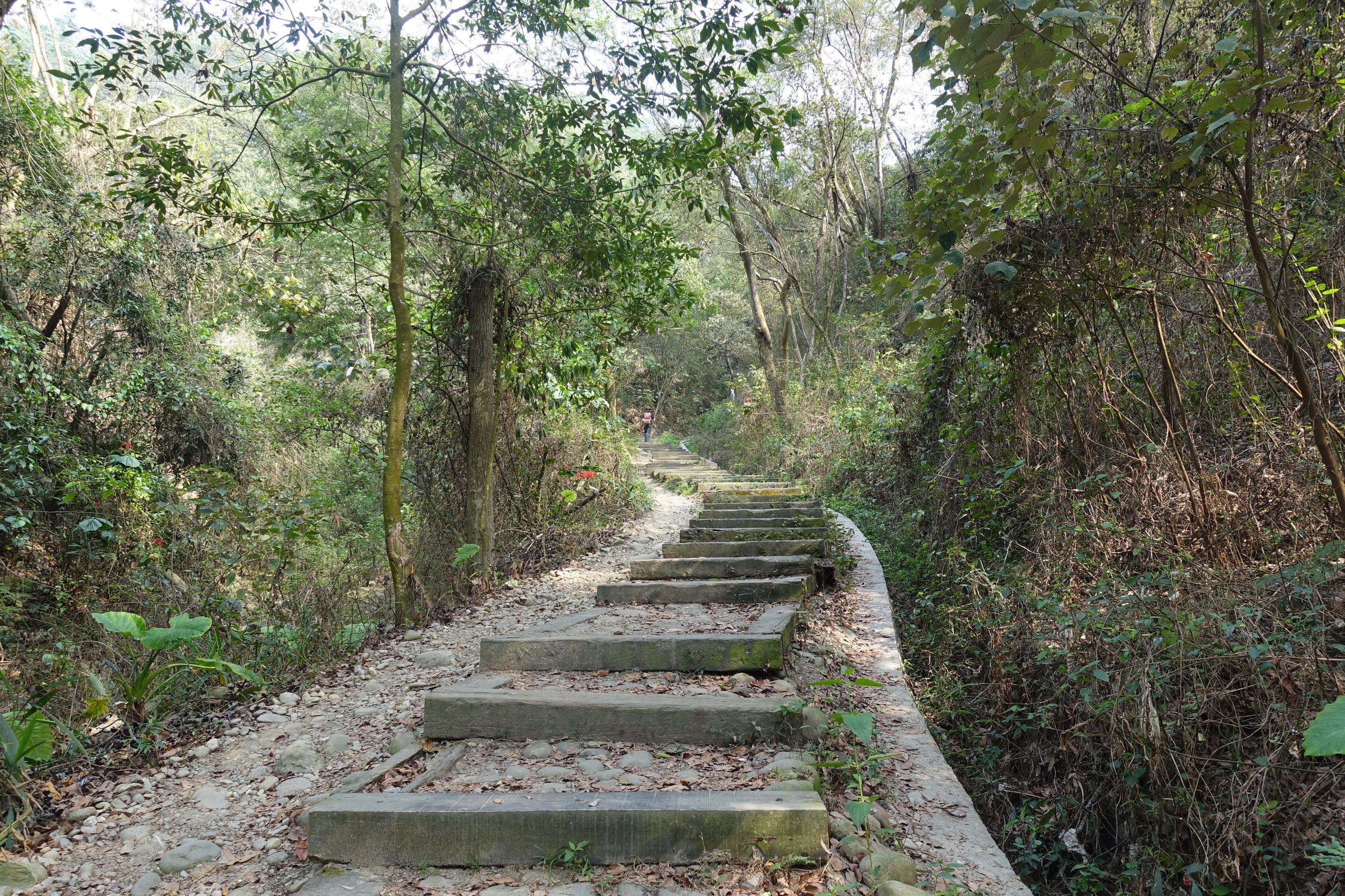 2十八弯古道全线为坡度平缓的林荫步道，铺面采用土石或木阶梯重现历史场景。