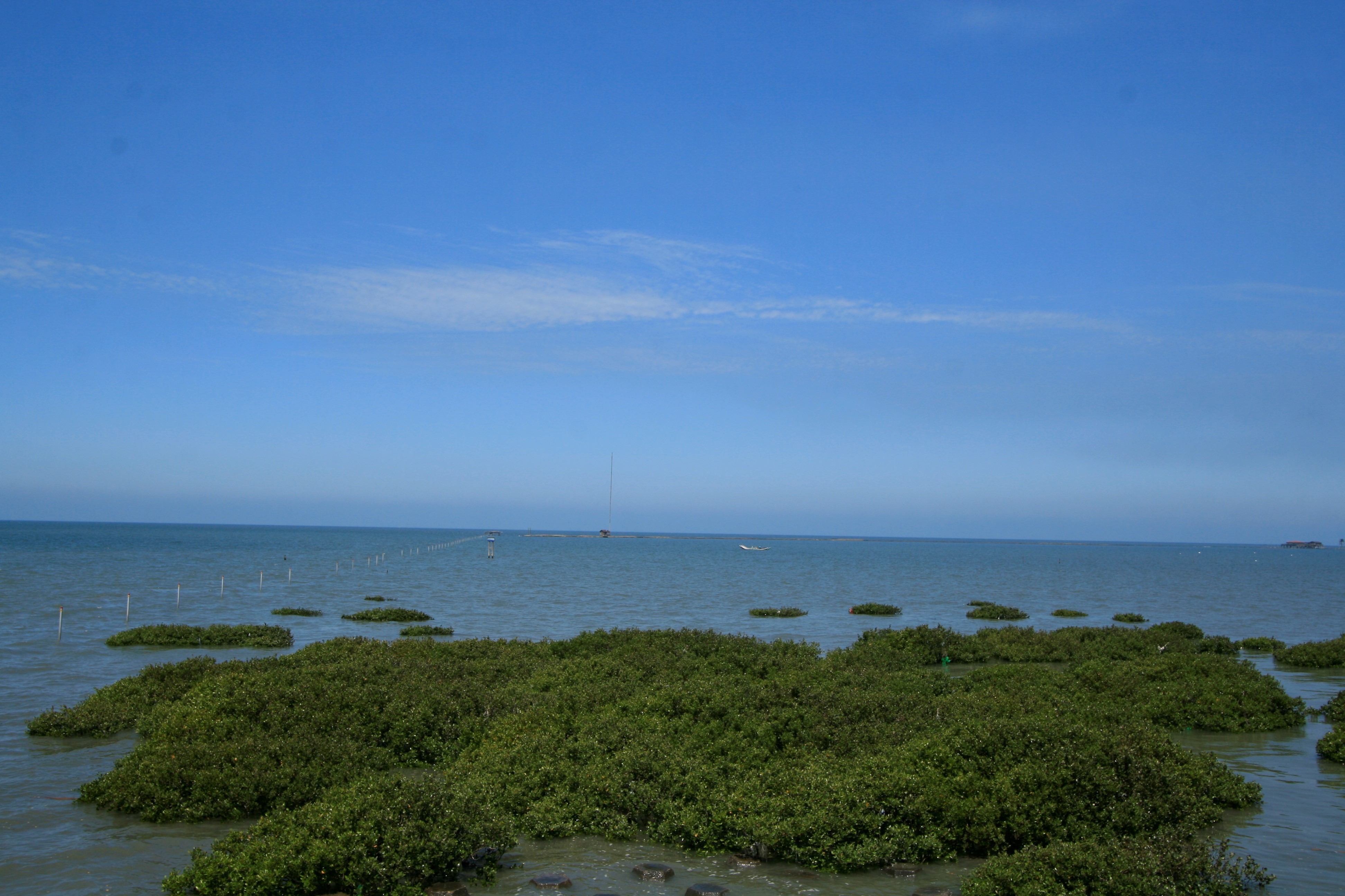 汉宝湿地