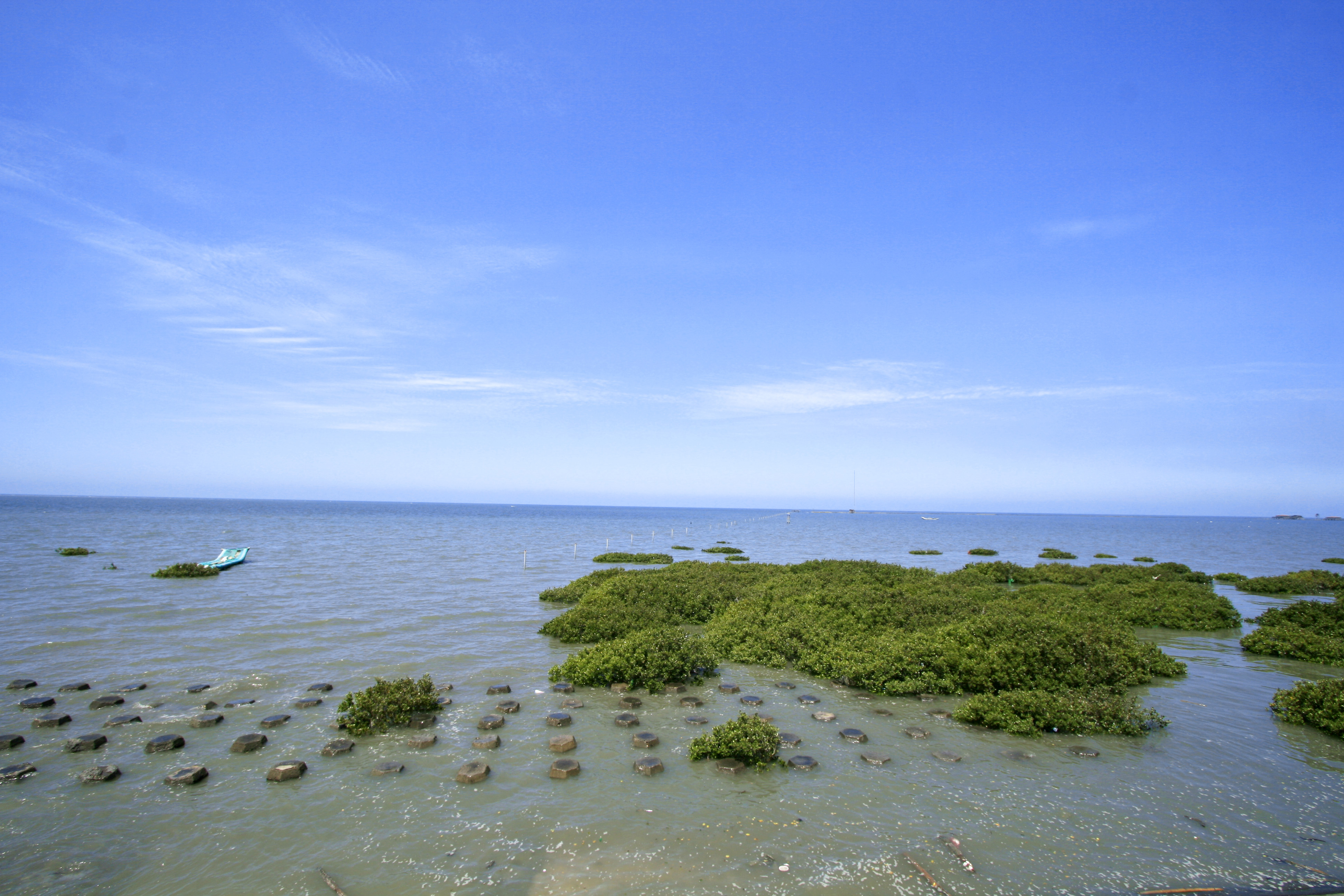 汉宝湿地